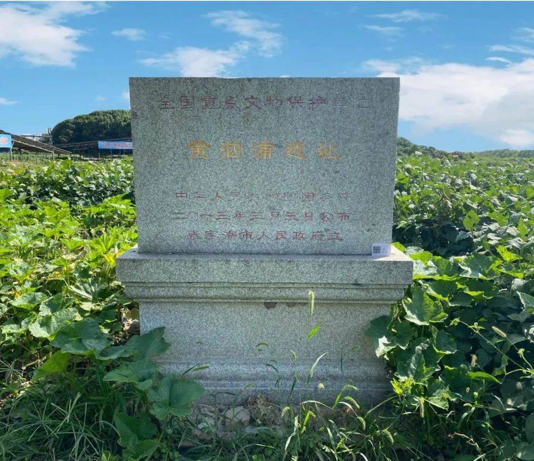 黄泗浦遗址:鉴真东渡出发地,海上丝绸之路的璀璨"明珠"_瓷器_日本