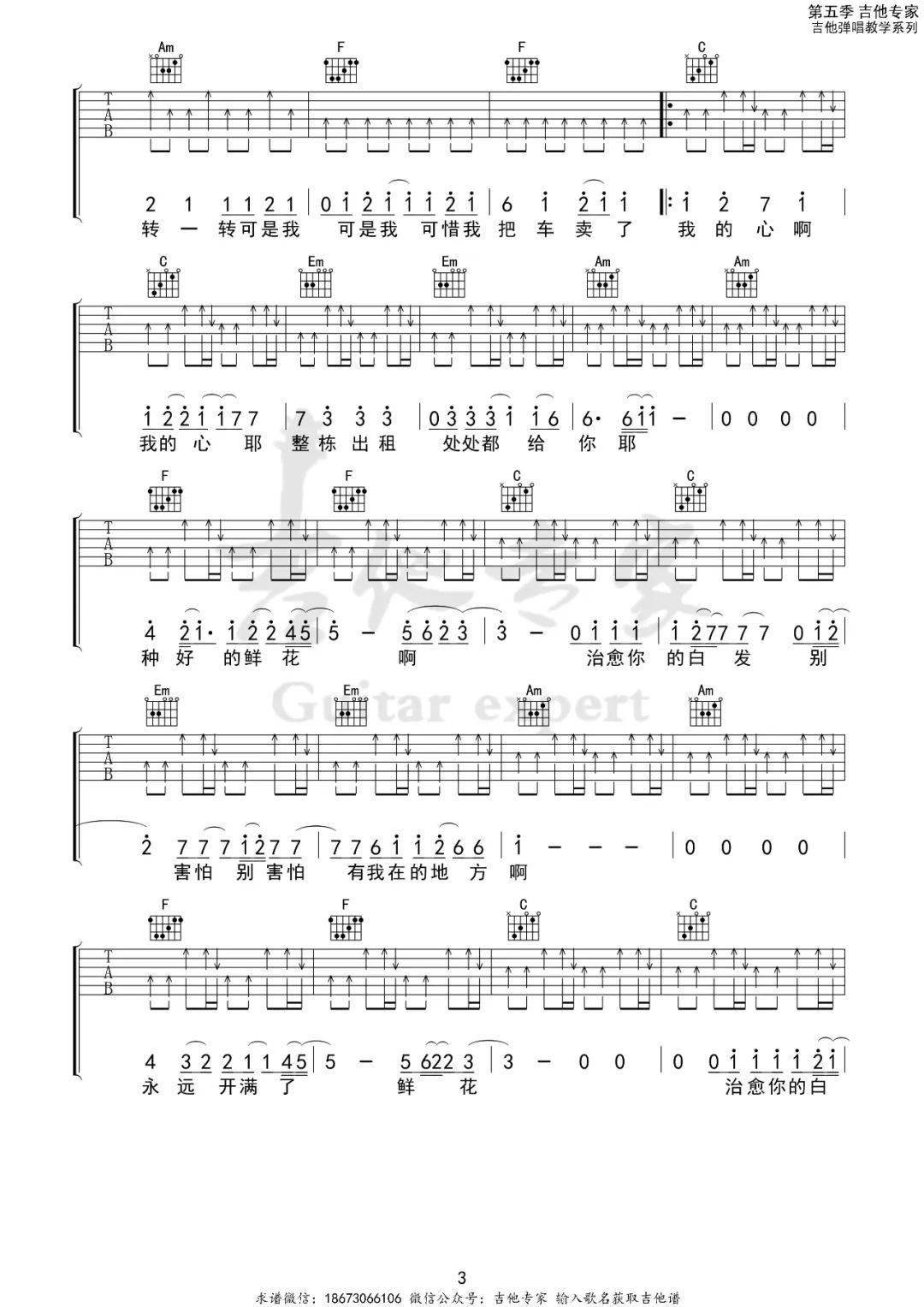 鲜花c调吉他谱 |回春丹 带演奏示范_车子_治愈_白发