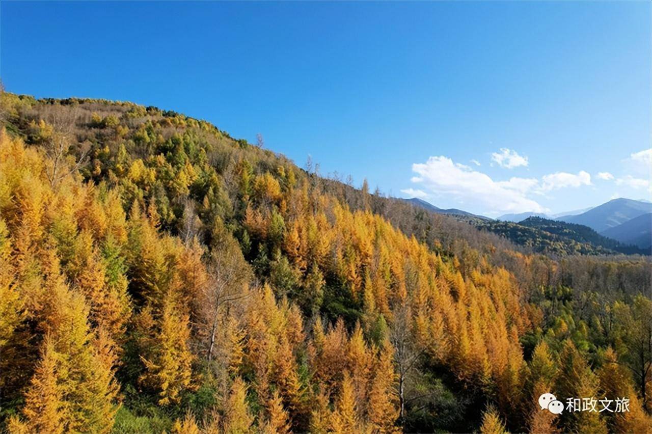 探索金秋胜景,感受临夏松鸣岩景区的别样魅力_大自然_季节_暖色