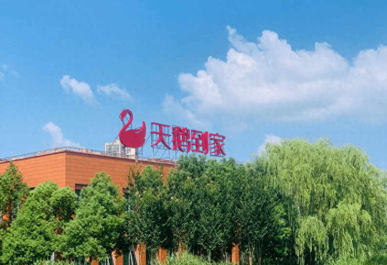 天鹅到家赶潮做直播,是热度还是趋势?_视频_服务平台_流量