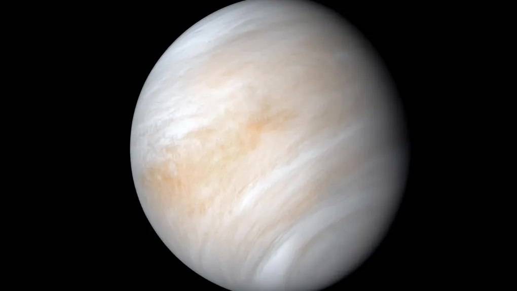 研究表明金星在数十亿年前具有类似地球的板块构造_运动_生命_weller