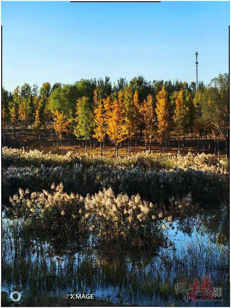 这座郊野公园秋色渐浓_巩华城_昌平_园区