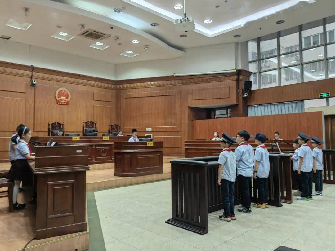永康市大司巷小学:少先队员变身小"法官" 沉浸式体验法治精神_工作