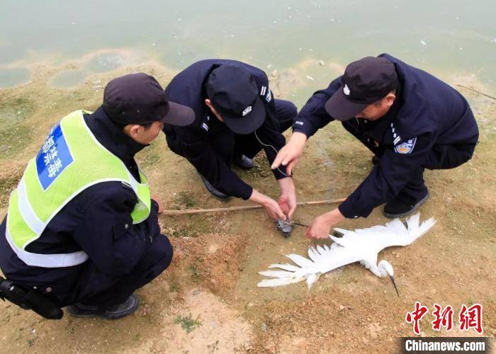 赵某和李某及罗某等4人,现场查扣国家二级保护野生动物画眉鸟活体18只