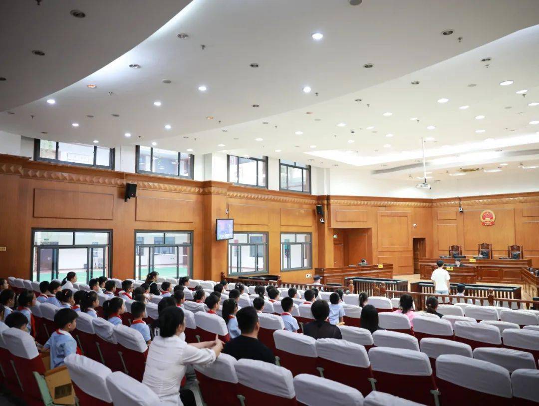 永康市大司巷小学:少先队员变身小"法官" 沉浸式体验法治精神_工作