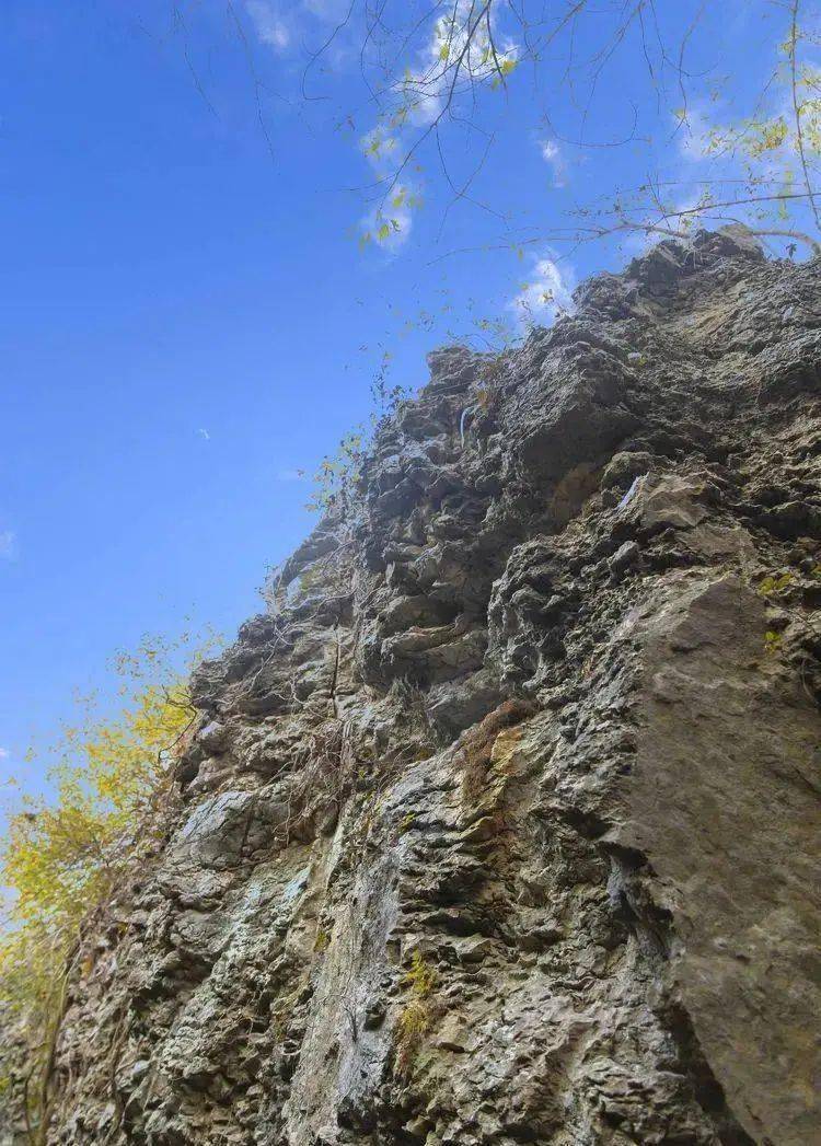 滁州定远,野狼谷中景致幽|520安徽文旅惠民消费季_山石_树干_天长市