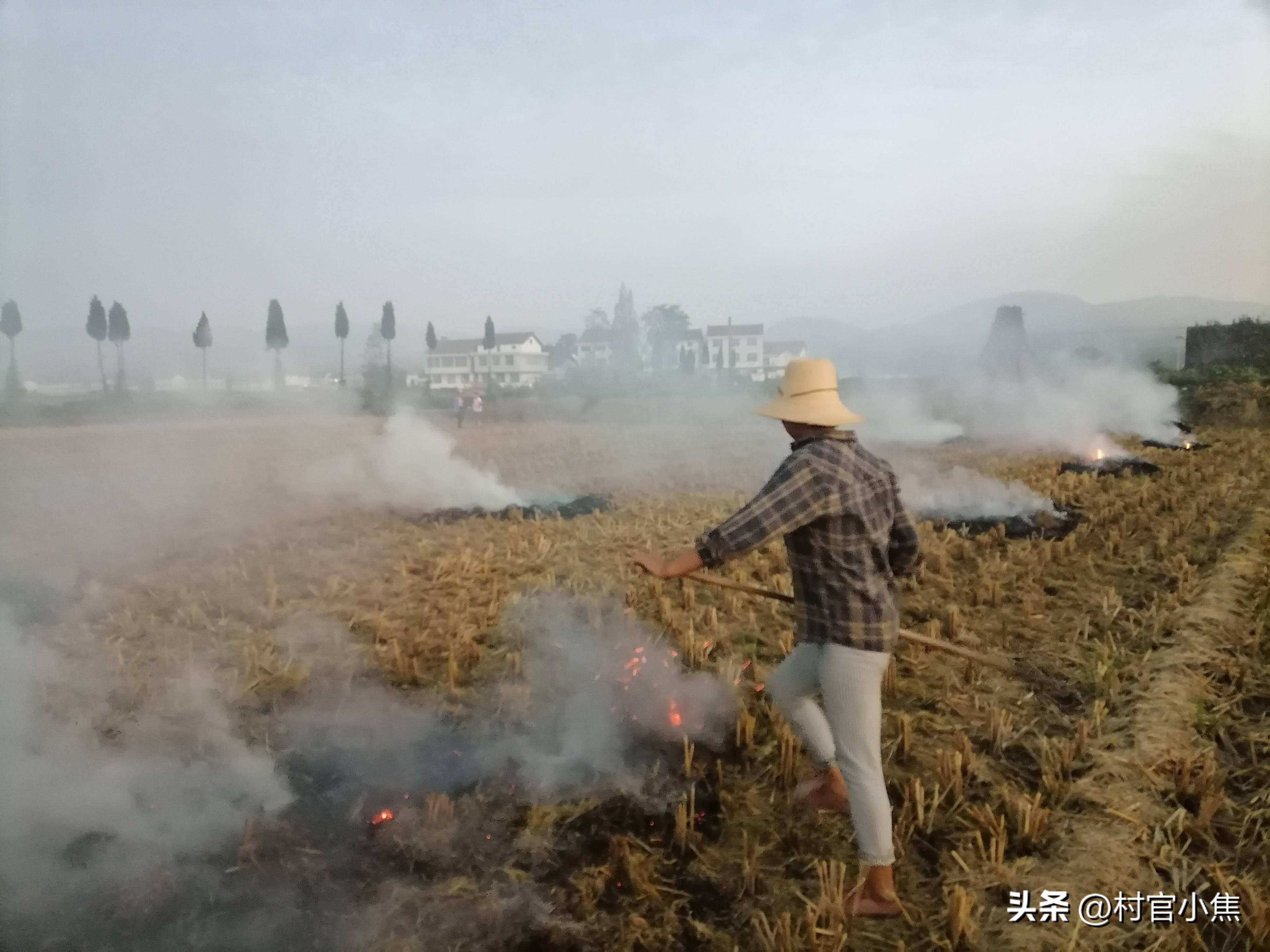 一地放开禁烧禁令,到底啥情况?消息是真是假?_小焦_农村_规定