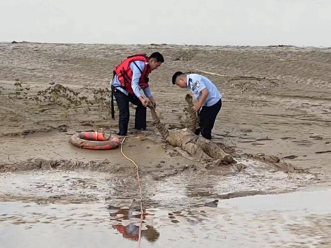 救助_淤泥_苗欢欢