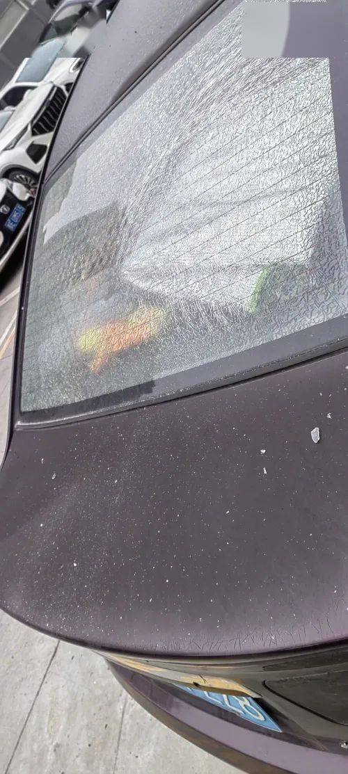 安康一车主车玻璃被高空抛物砸碎,找不到责任人损失谁承担?