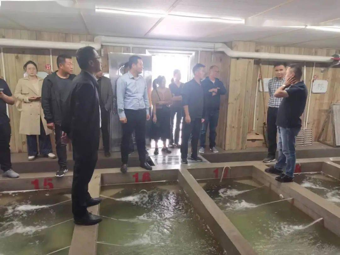 【工作动态】安徽省无为市福渡镇来三垛镇考察学习罗氏沼虾生态养殖