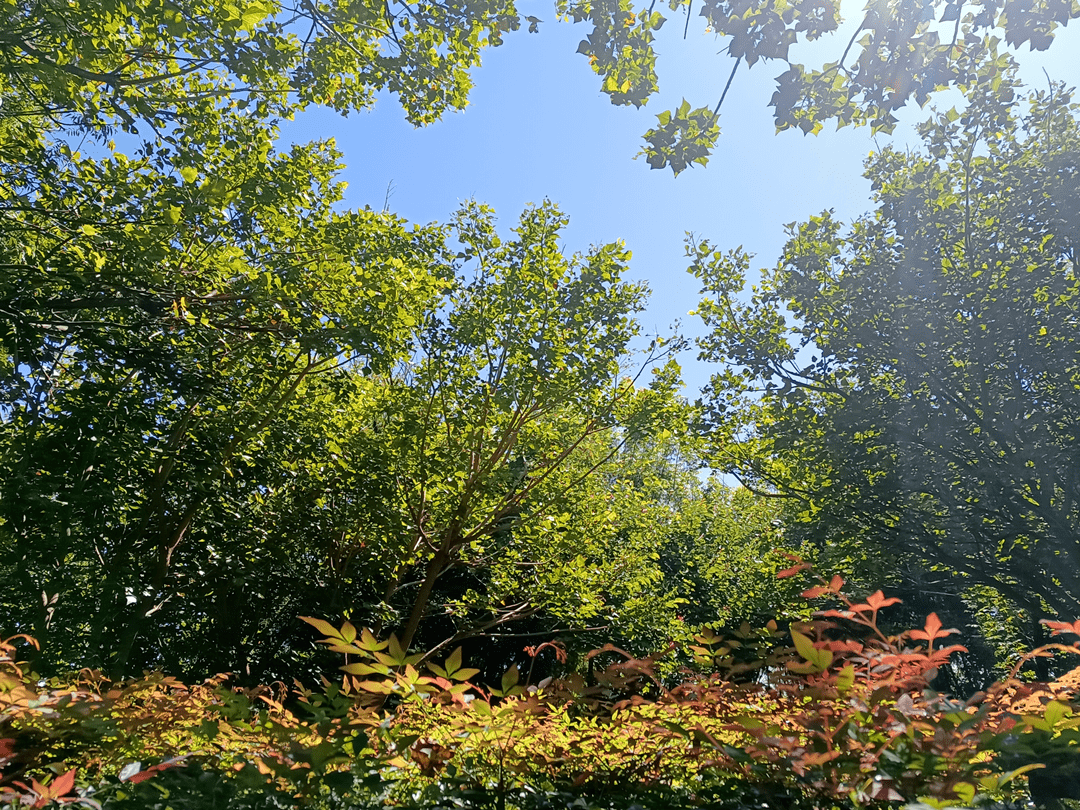 凉山西昌天气马上知