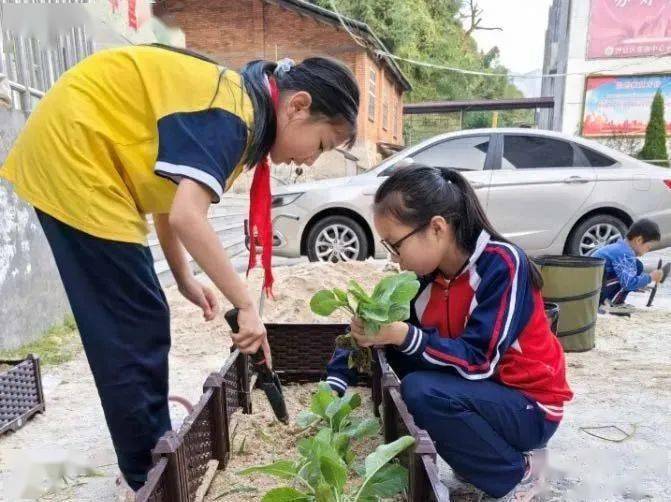 從上海到沙縣| 這位支教老師的故事你知道嗎?_教育_鄉村_印象