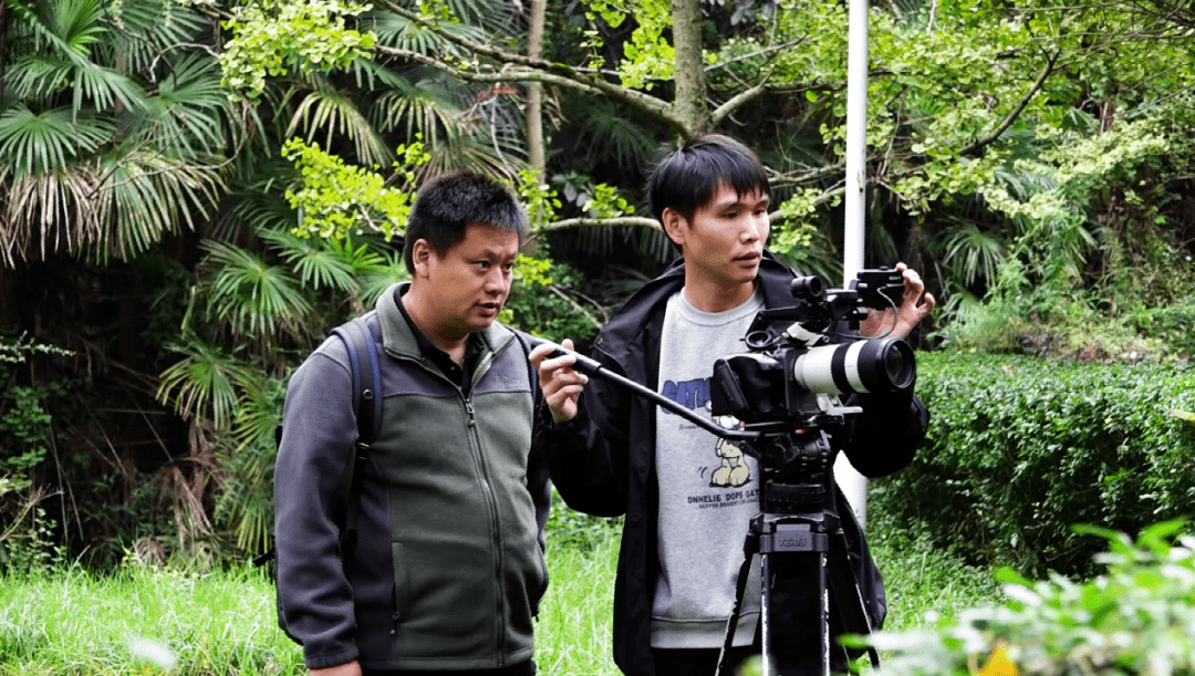 叶辛_贵州_纪录片