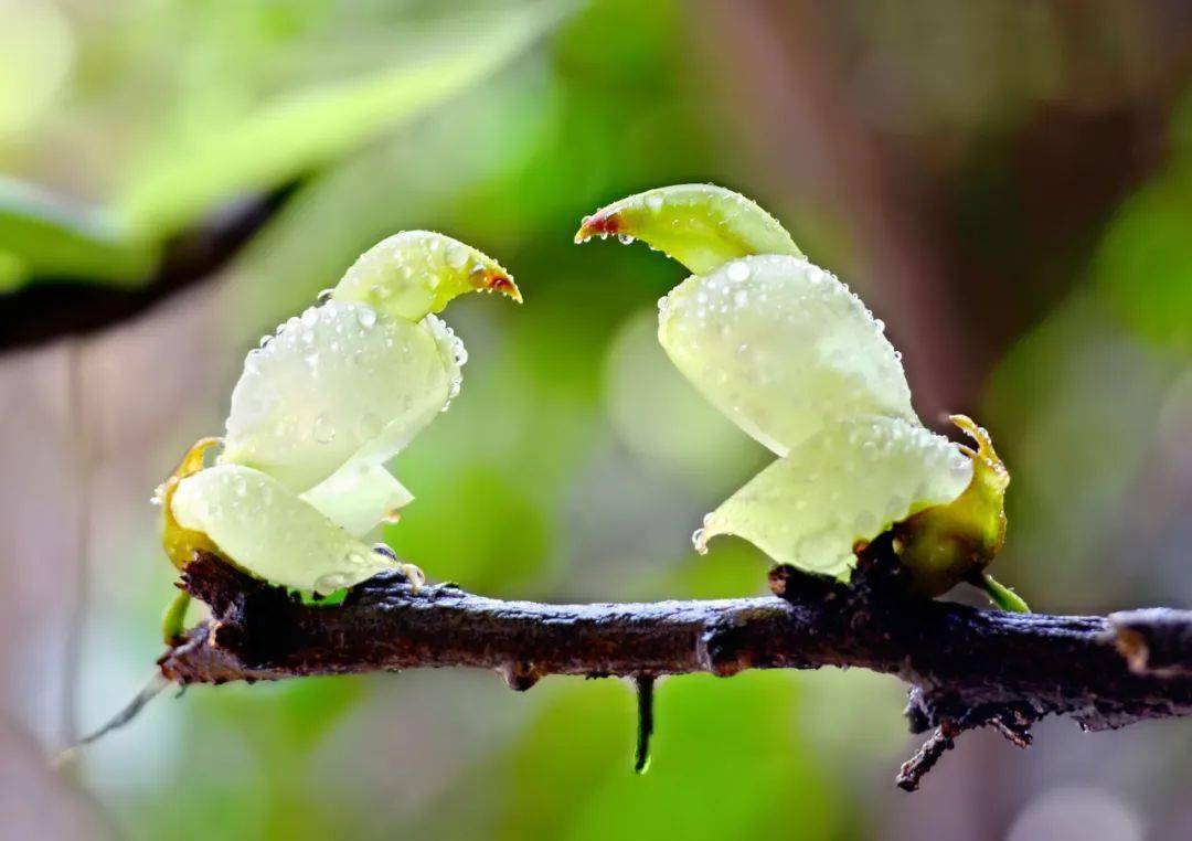 《将进酒》 作者 李惠娟出品:清溪融媒体中心文稿:李远球 杨 珊图片