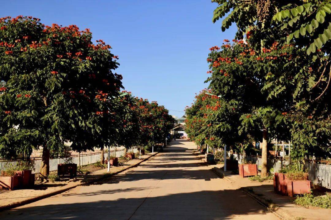 【乡村振兴】景谷勐班:绿美移民村让幸福"遥遥领先"_勐班乡_芒旺_群众
