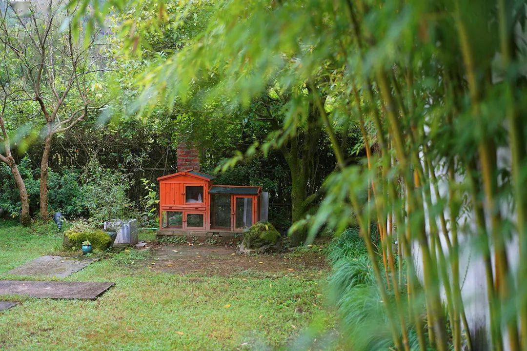 金秋大促直降061100 ,061799/2晚,浙南秘境缙云丽舍,含高铁接送