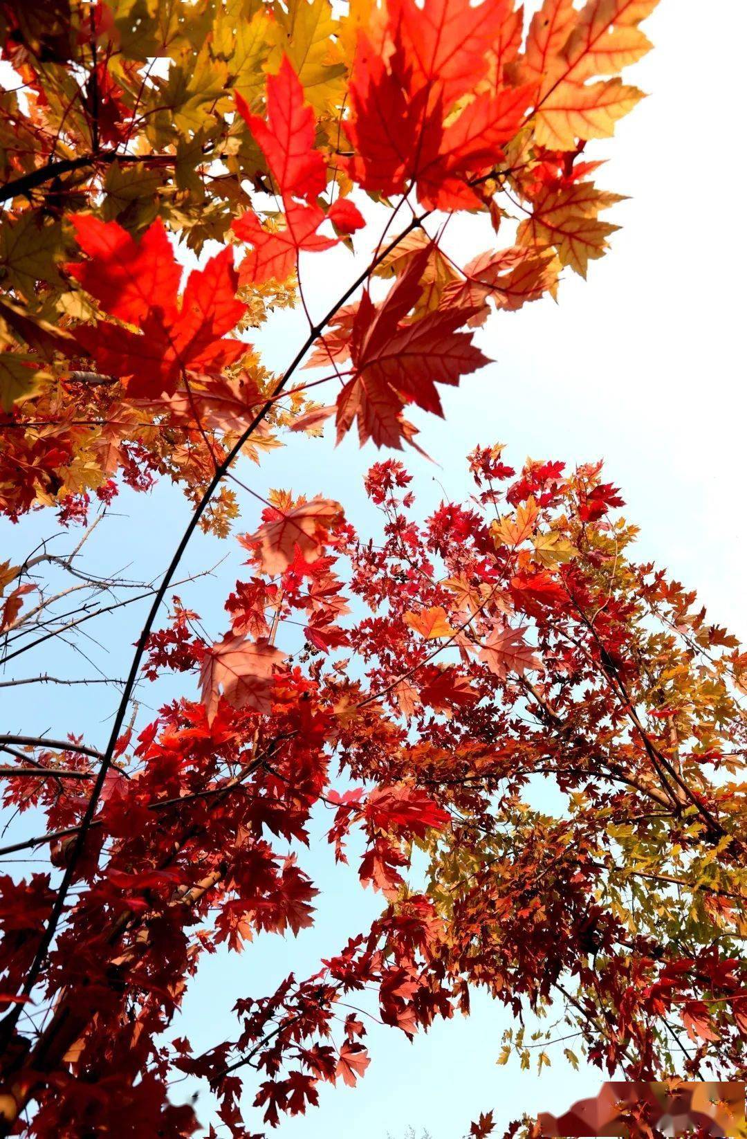 这样的美景很峰峰!_杨元_王健方_靳长友