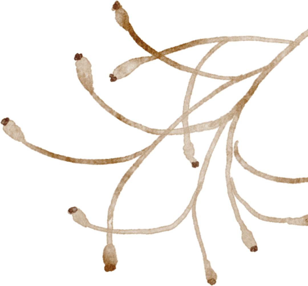 癸 卯 年2023 · 秋秋田"野"趣塍室漫读 city reading后塍街道新时代