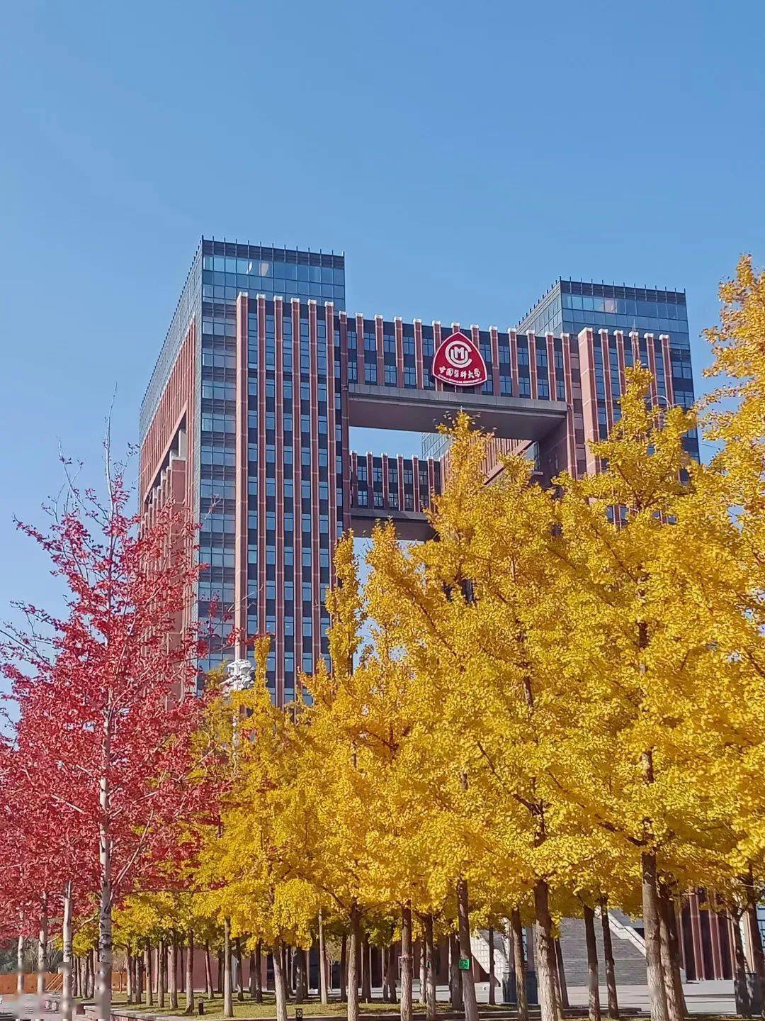 建设学院*大连工业大学艺术与信息工程学院*辽宁中医药大学杏林学院*