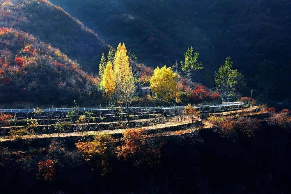 林州仙霞谷风景区门票图片