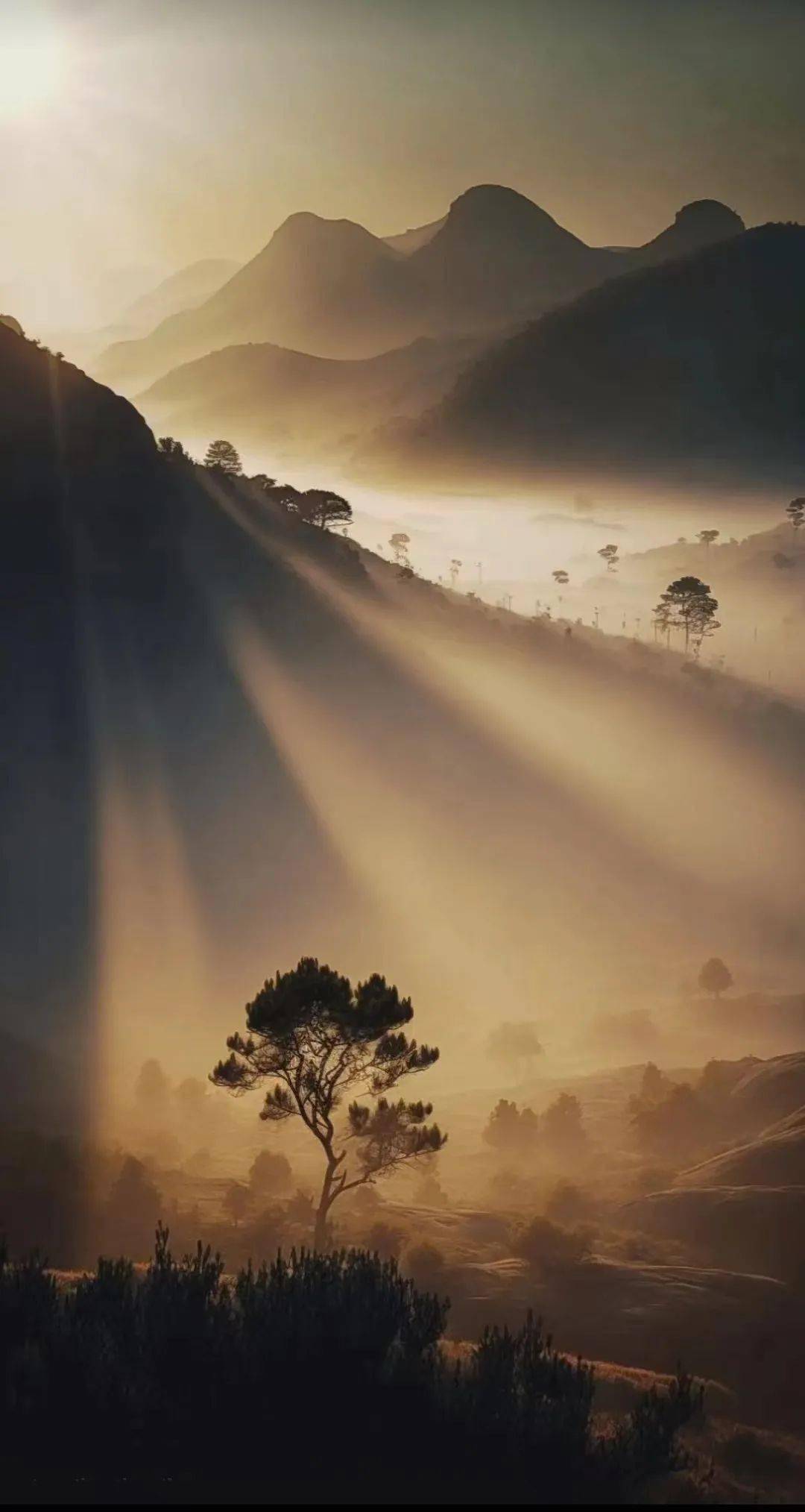 变化_东西_人们