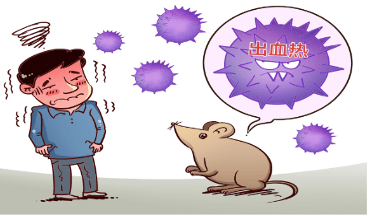 流行性出血热是由鼠类通过唾液,尿液等含有汉坦病毒的排泄物,分泌物或
