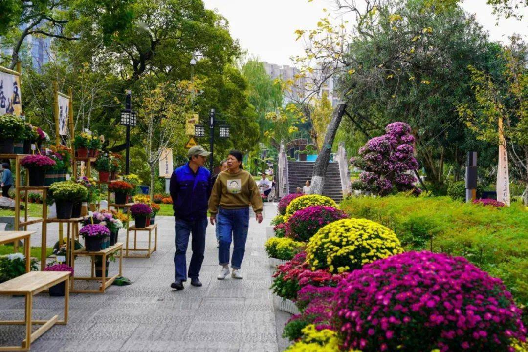 菊展!_菊花_镇海_人民公园