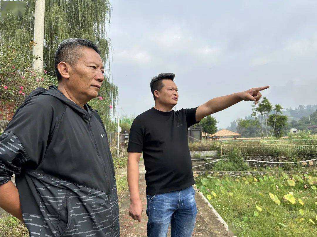 共富实践 | 返乡创业明星杨杰:让村民与集体连心,连利,连责