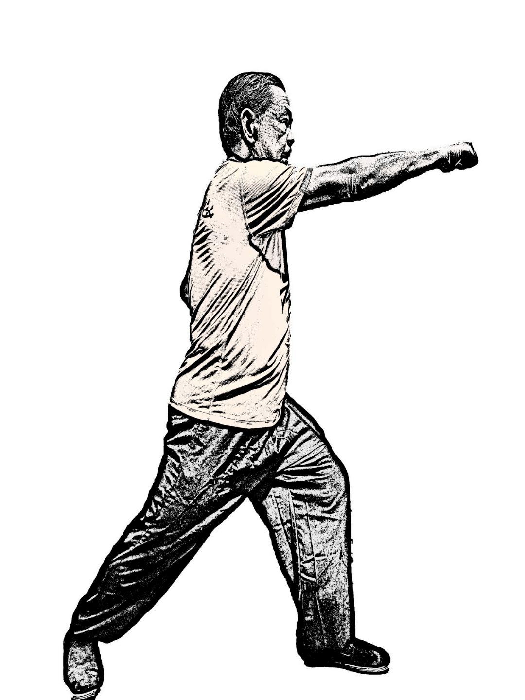 "五沙蔡李佛拳"黄开胜师傅入选市级非遗传承人_弟子_活动_保护