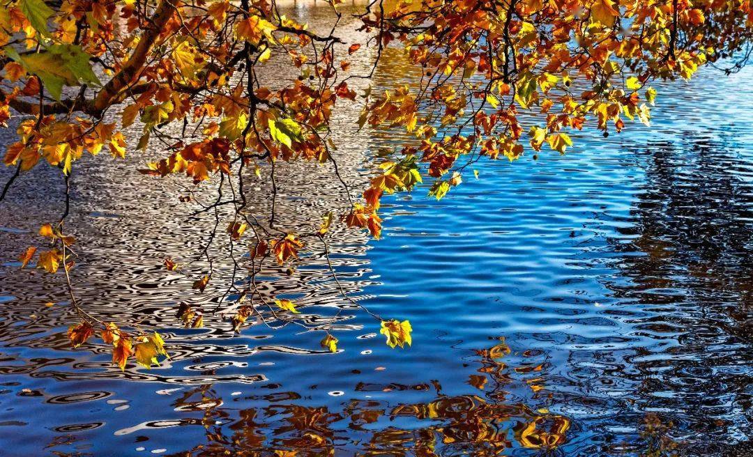 秋水无痕,时光无声_西风_气息_笛声