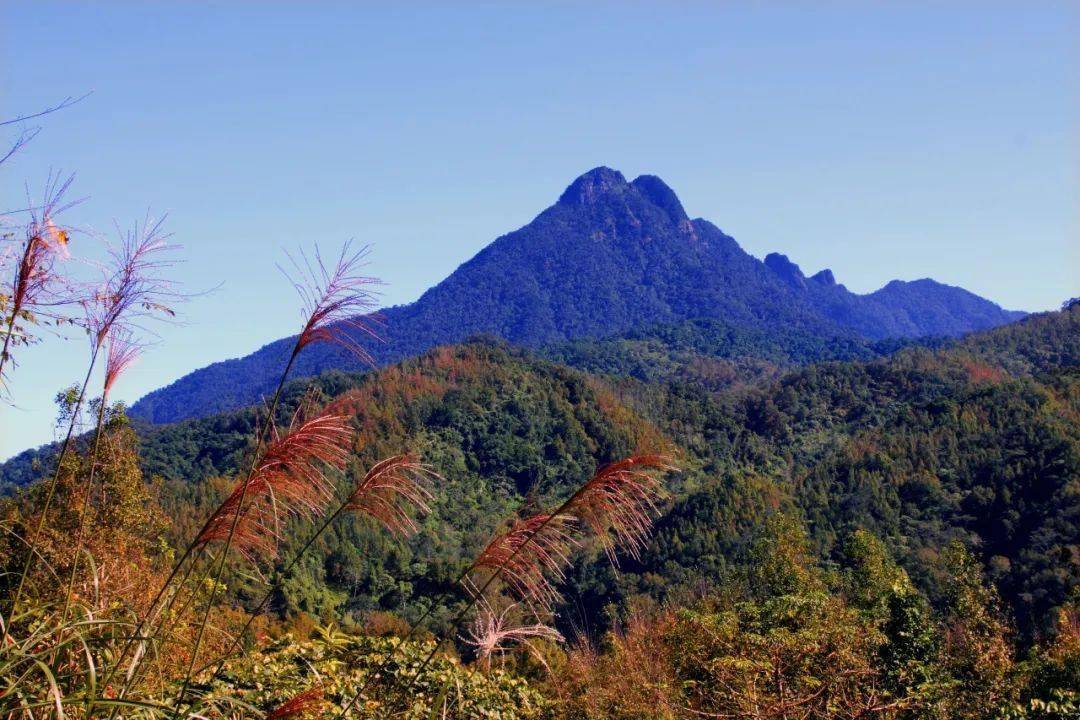 秋天暖如夏,26°的五指山美成童话