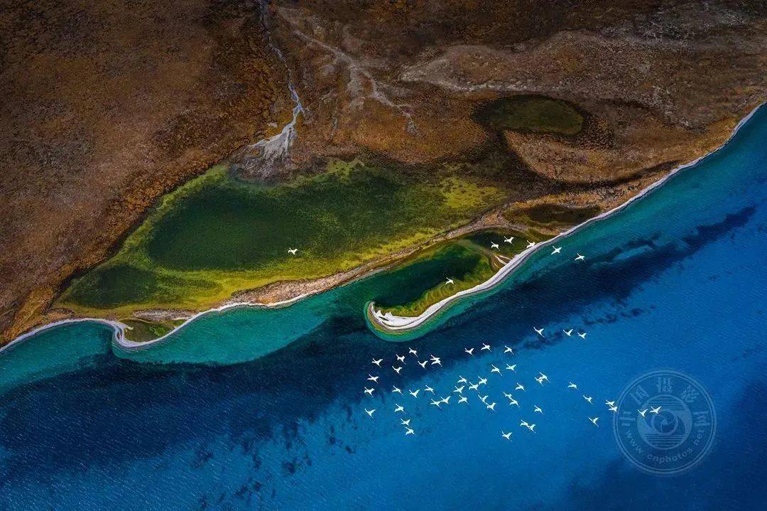 周滨(重庆)《人间仙境红枫林》钟世文(甘肃临夏)《枯水季搁浅的渔船》