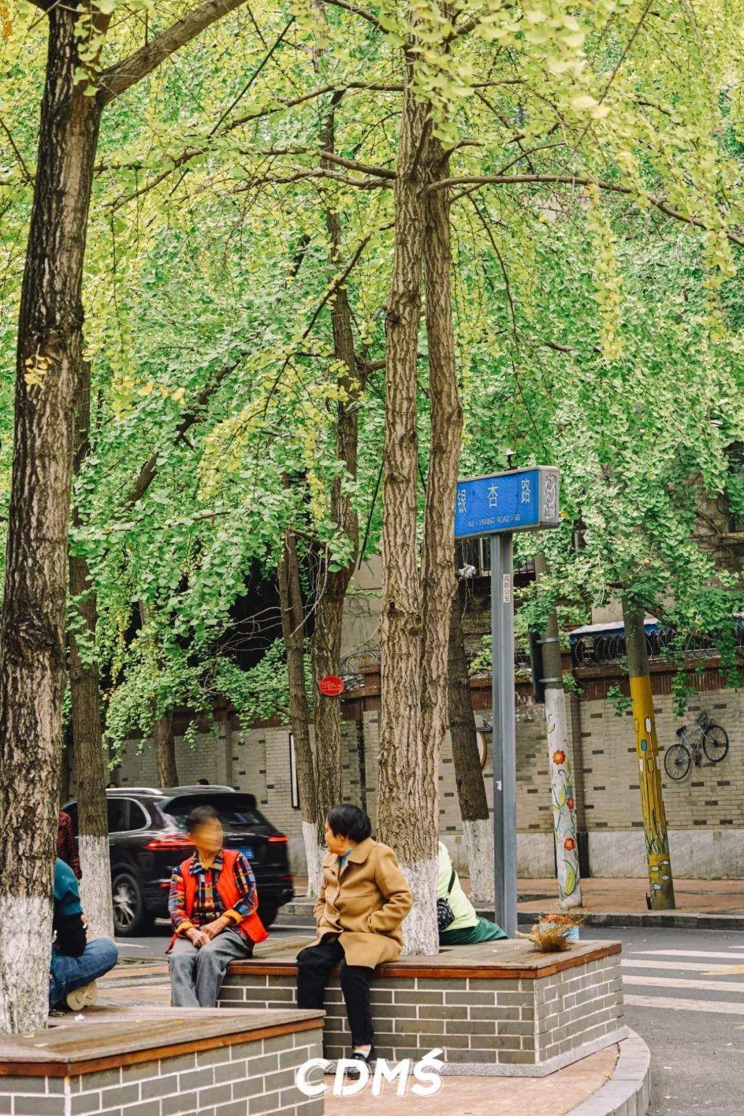 生活在成都白果林可太让人羡慕了