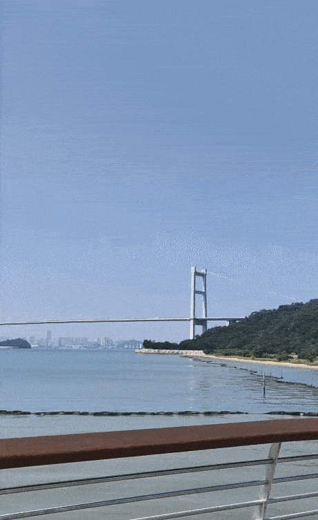 虎门这片沙滩,开放了!_区域_东莞_综合