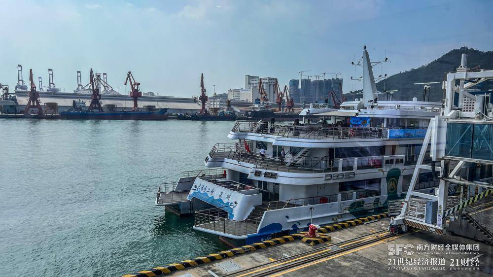 深圳港的货船与邮轮