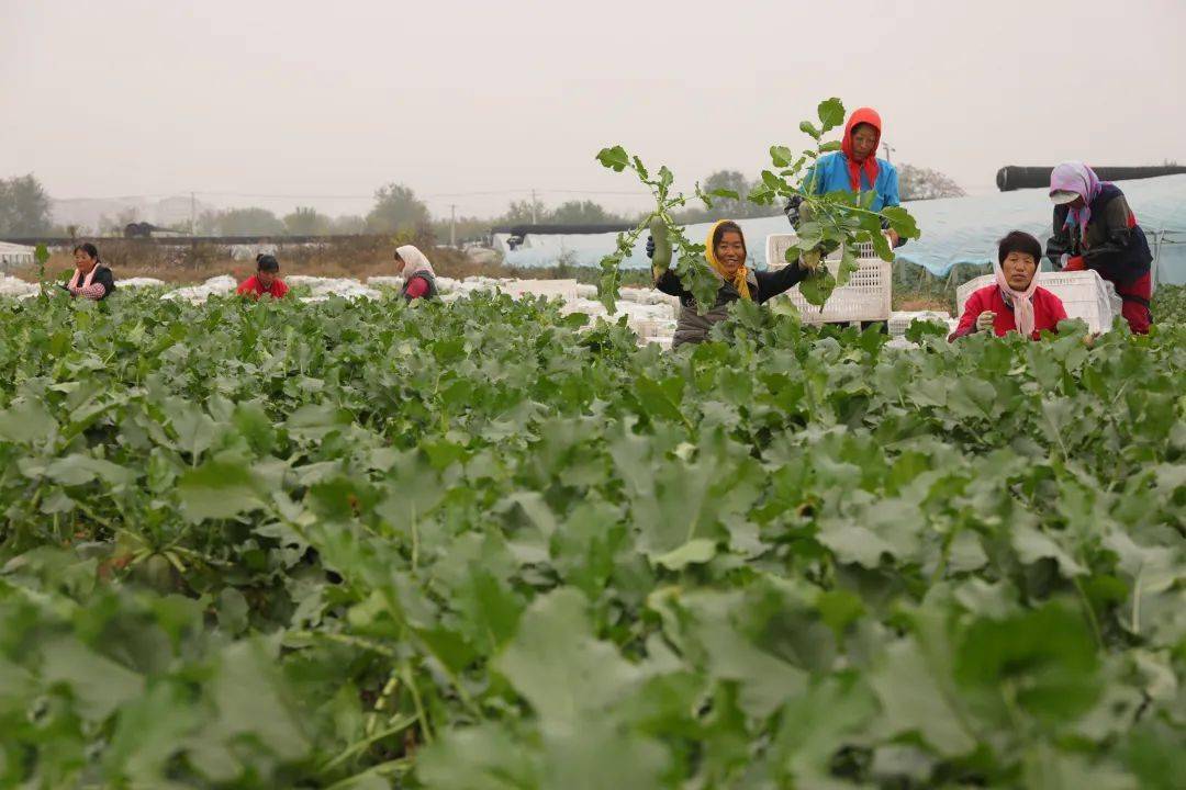 郭绍祥_口感_嘎巴