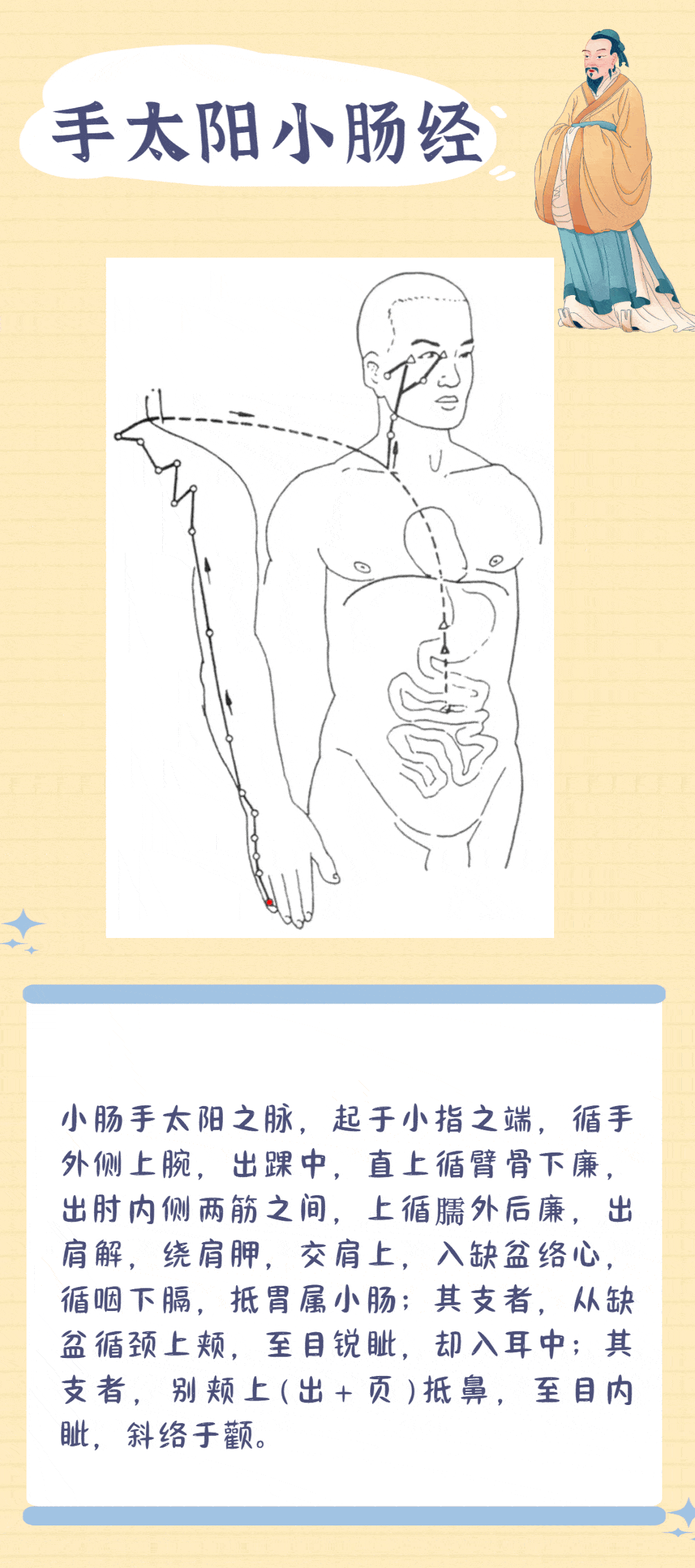 06手少阴心经常用腧穴:05足太阴脾经常用腧穴:04足阳明胃经常用腧穴