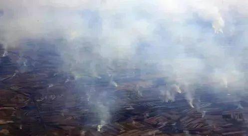 壶关牛某因焚烧秸秆被拘留!_防火期_火灾_灭火