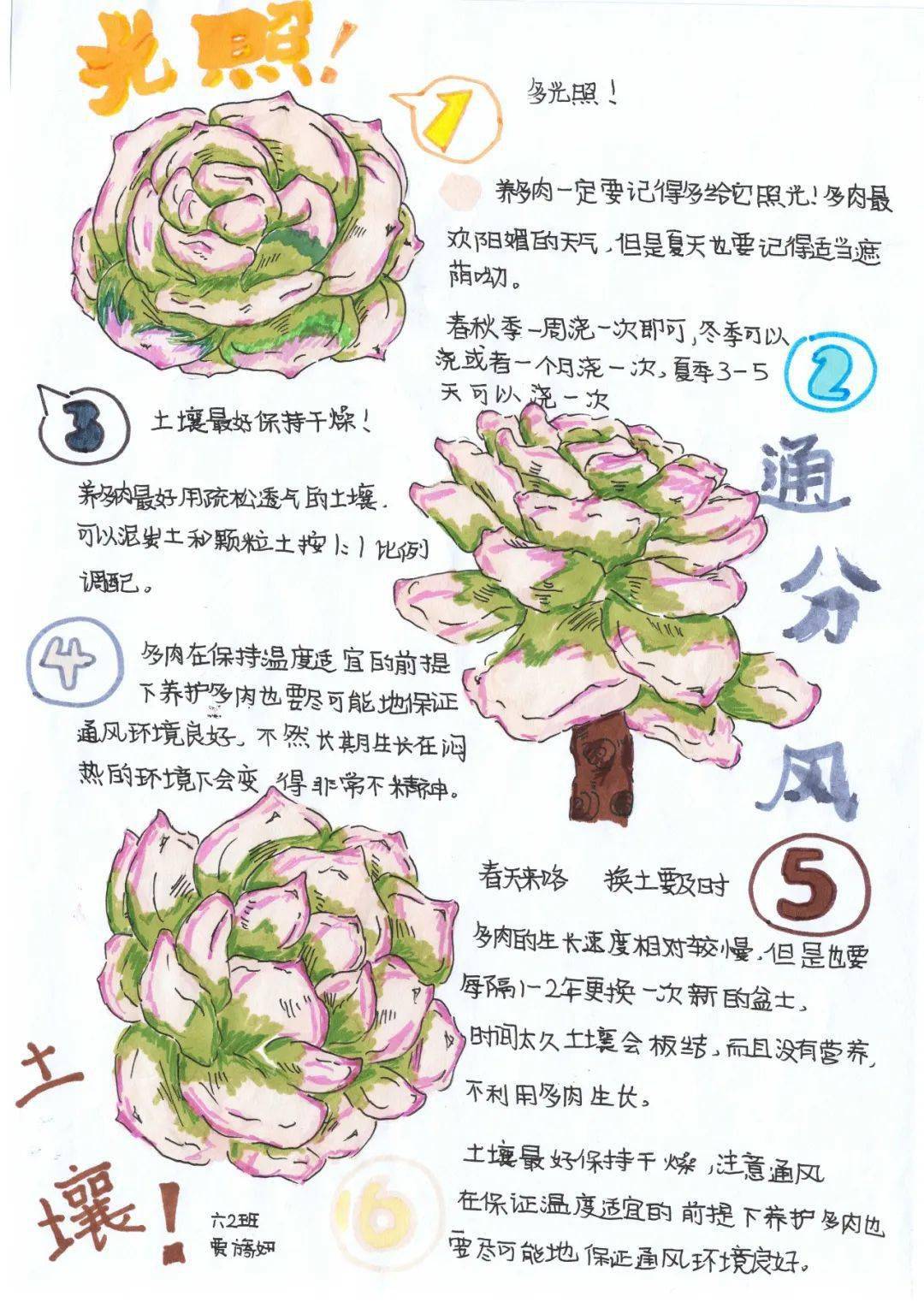 山西省青少年一起向自然2023年生物多样性自然笔记征集活动获奖作品