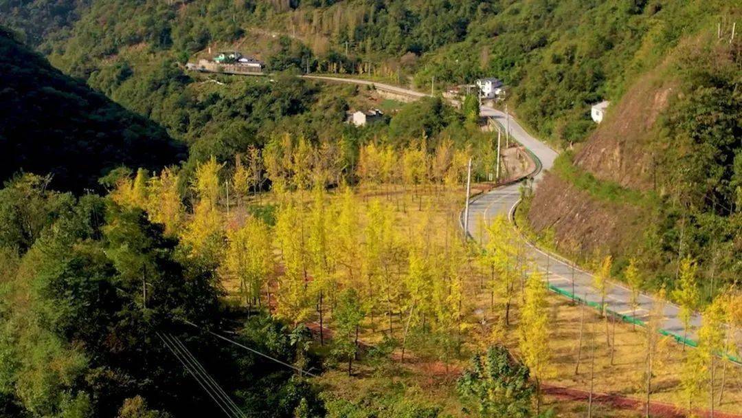 多彩房县值此时节房县十回首公路如彩色丝带般从谷底盘旋而上经过十道