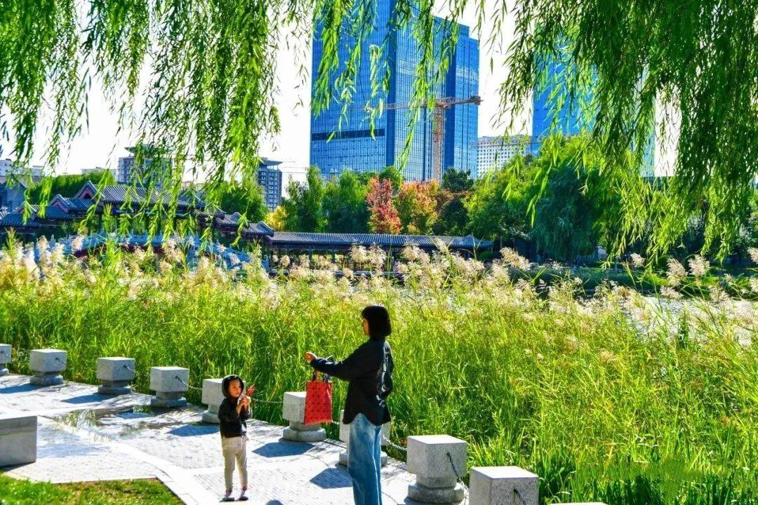 城市副中心推出5条赏秋游憩路线,一起邂逅斑斓秋景吧_公园_时节_银杏