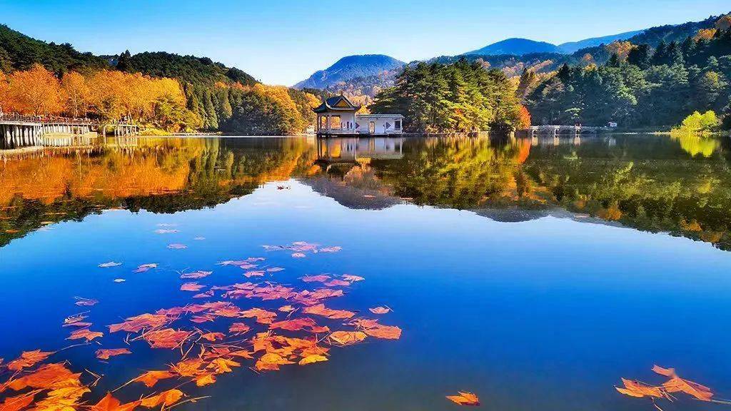 庐山秋季赏枫攻略请查收!_北门_植物_车站