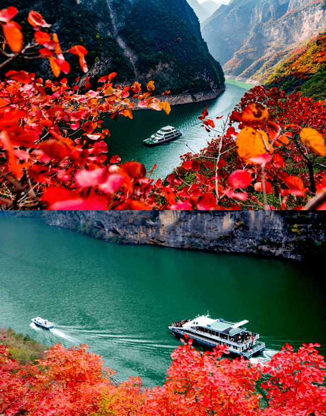 大草原也许你看过98秋天的内蒙胡杨林过秋天~在三峡红叶季beautiful