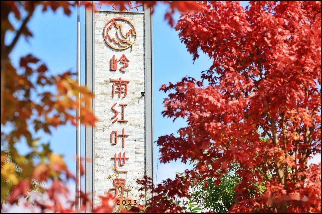 深秋初冬,最值得一去的,非岭南红叶世界不可.