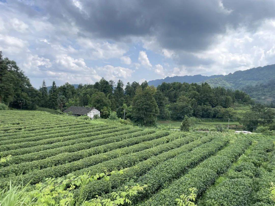 沙塘村探秘记_姐姐_哥哥_小伙伴