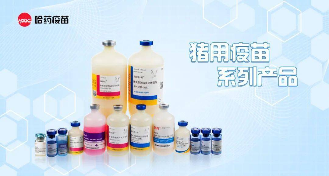 秋冬时节畜禽疫病防控(生猪篇)_进行_免疫_疫苗