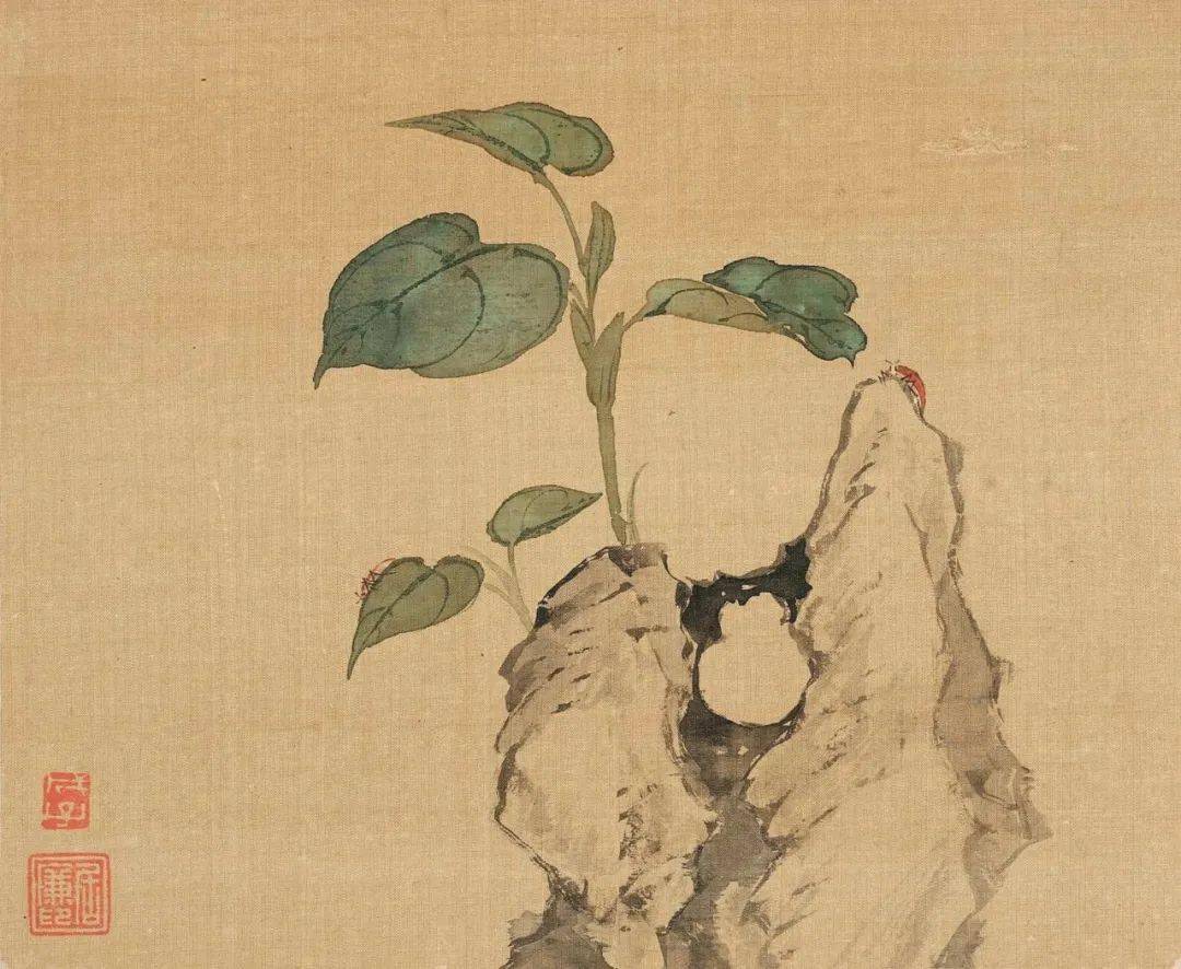 清 居廉花卉奇石册清画家.