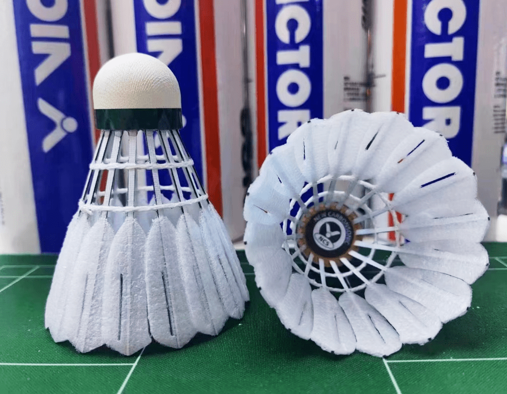 首届victor"领动高校杯"安徽省高校羽毛球交流赛单项赛圆满结束_亚军