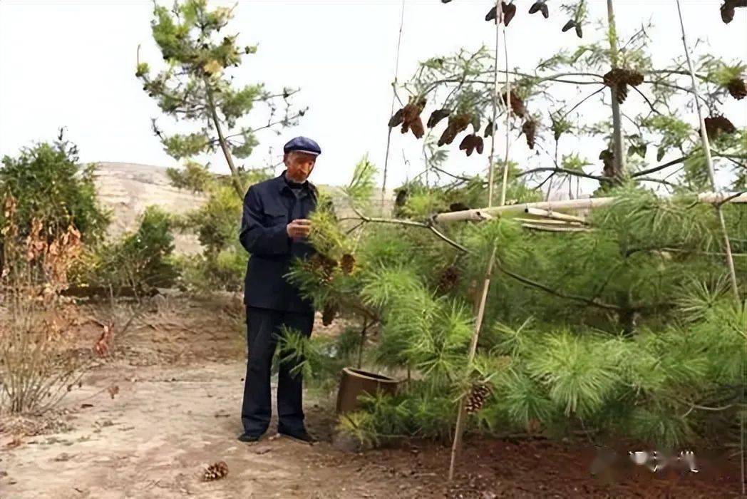 许志强广宁图片