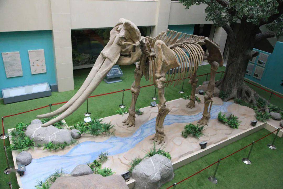 庆阳市博物馆记得一定打卡这些景点到西峰黄土高原的"天然标本园"小